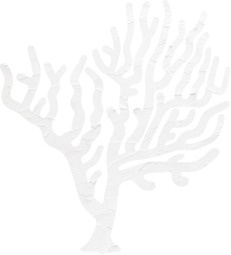 サンゴ礁
